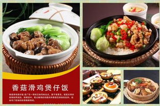 餐飲管理市場行情與信息發(fā)布指南